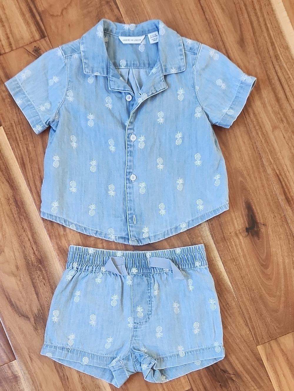 EUC Janie and Jack Light Blue Pineapple Cabana Shirt & Shorts Set. 6-12m